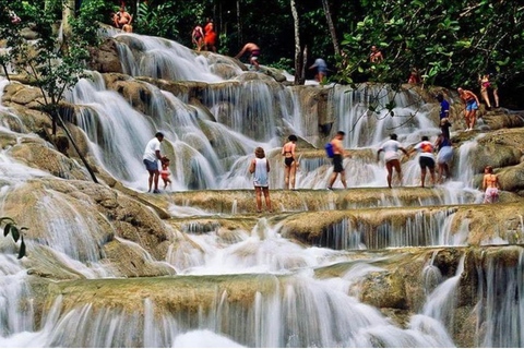 Depuis Montego Bay : Équitation-Natation &amp; Chutes de Dunns River