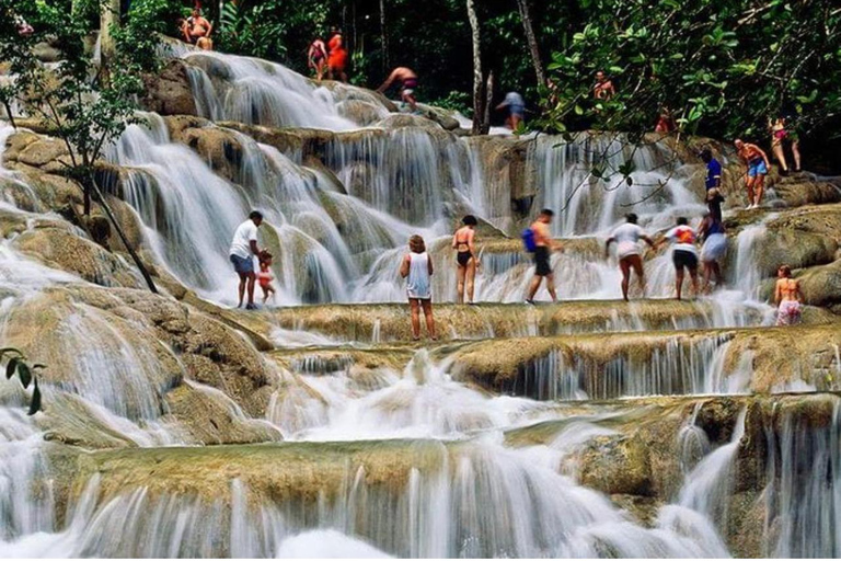 Depuis Montego Bay : Équitation-Natation &amp; Chutes de Dunns River