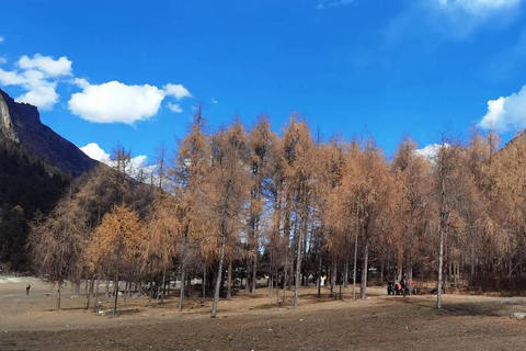 Sichuan: Bipeng Valley Ticket