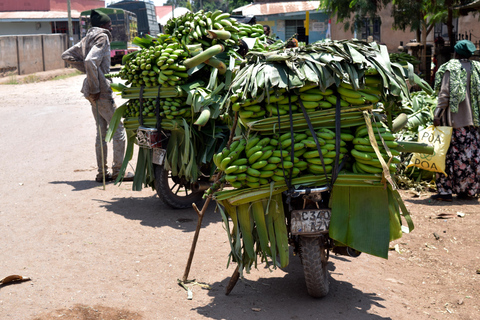 Mto wa Mbu: Waterfall, Maasai Boma, Village, & Balaa Hill Mto wa Mbu Tour & Canoe Ride on Lake Manyara