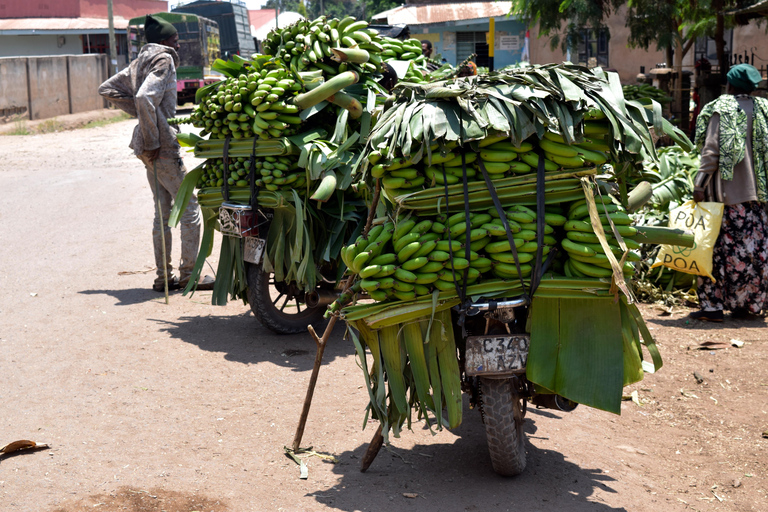 Mto wa Mbu: Waterfall, Maasai Boma, Village, & Balaa Hill Mto wa Mbu Tour & Canoe Ride on Lake Manyara