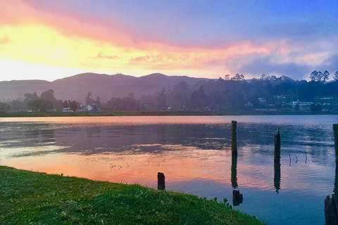 Nuwara Eliya To Ella With Pure Magical Mountain Way Kandy To Ella drop-off (Optional Nanuoya train ride)