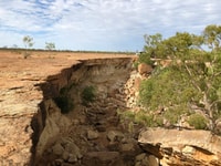 Winton, Bladensburg National Park Halb Day Tour - Housity