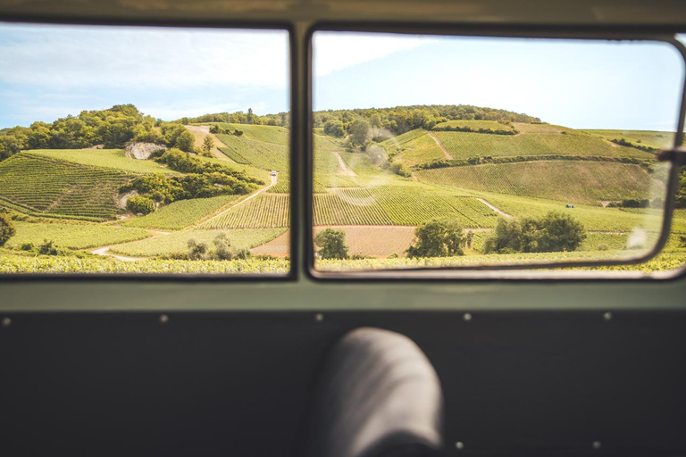From the vines to the Champagne glass with a vintage car The heart of the Champagne region