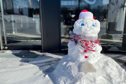 Speel met sneeuw bij HOKKAIDO Sneeuwpark &amp; Outlet ShoppingSki- en rodelervaring volledig draaiboek