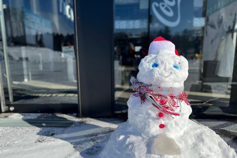 Play with Snow! at HOKKAIDO Snow park & Outlet Shopping Skiing and sledding experience full set plan