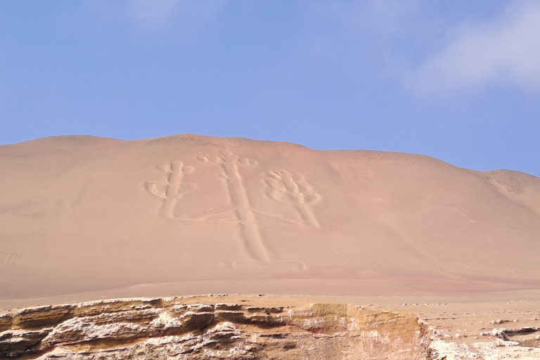 GRUPAL GIORNO COMPLETO Paracas(Ballestas) + Ica + Huacachina(Oasi)