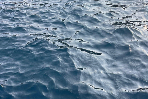 Sailing tour and guided snorkeling a Siracusa
