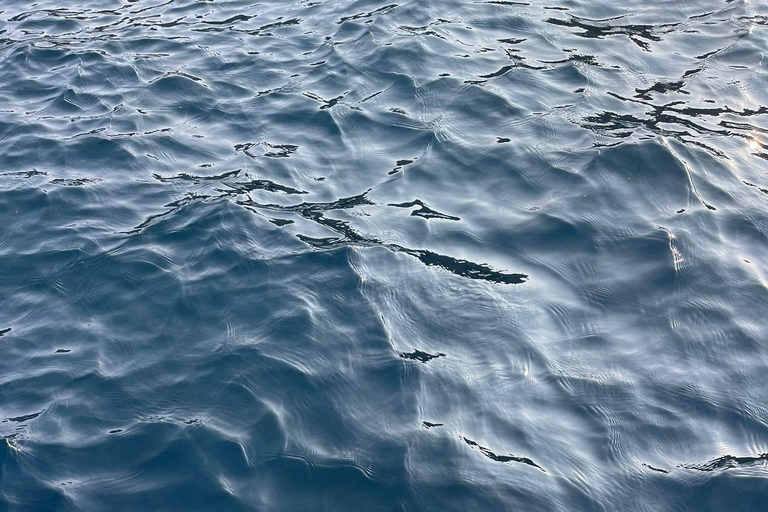 Sailing tour and guided snorkeling a Siracusa