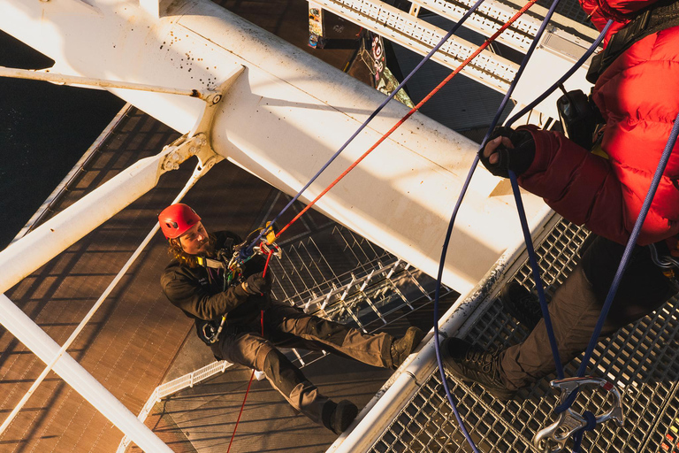 Cardiff: Principality Stadium Abseiling Adult or Child