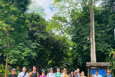 Phong Nha National Park: Paradise Cave Half-Day Tour Pickup in Hue and drop-off in Phong Nha