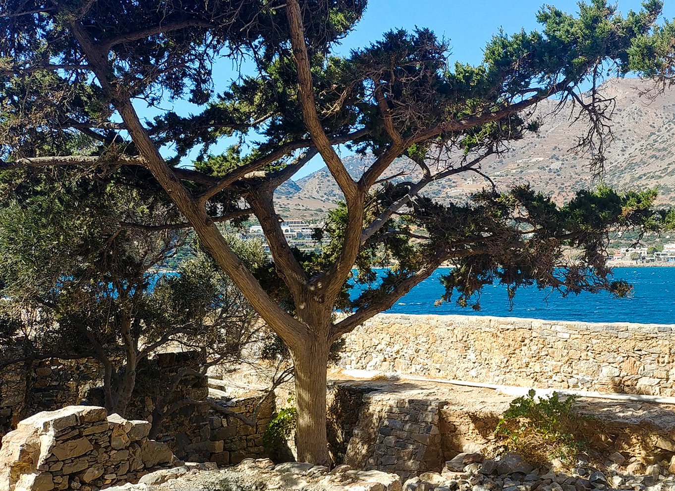 Kreta: Dagstur til Agios Nikolaos og Spinalonga Island