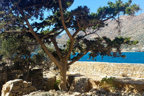 Crete: Day Trip to Agios Nikolaos and Spinalonga IslandPickup from Sisi