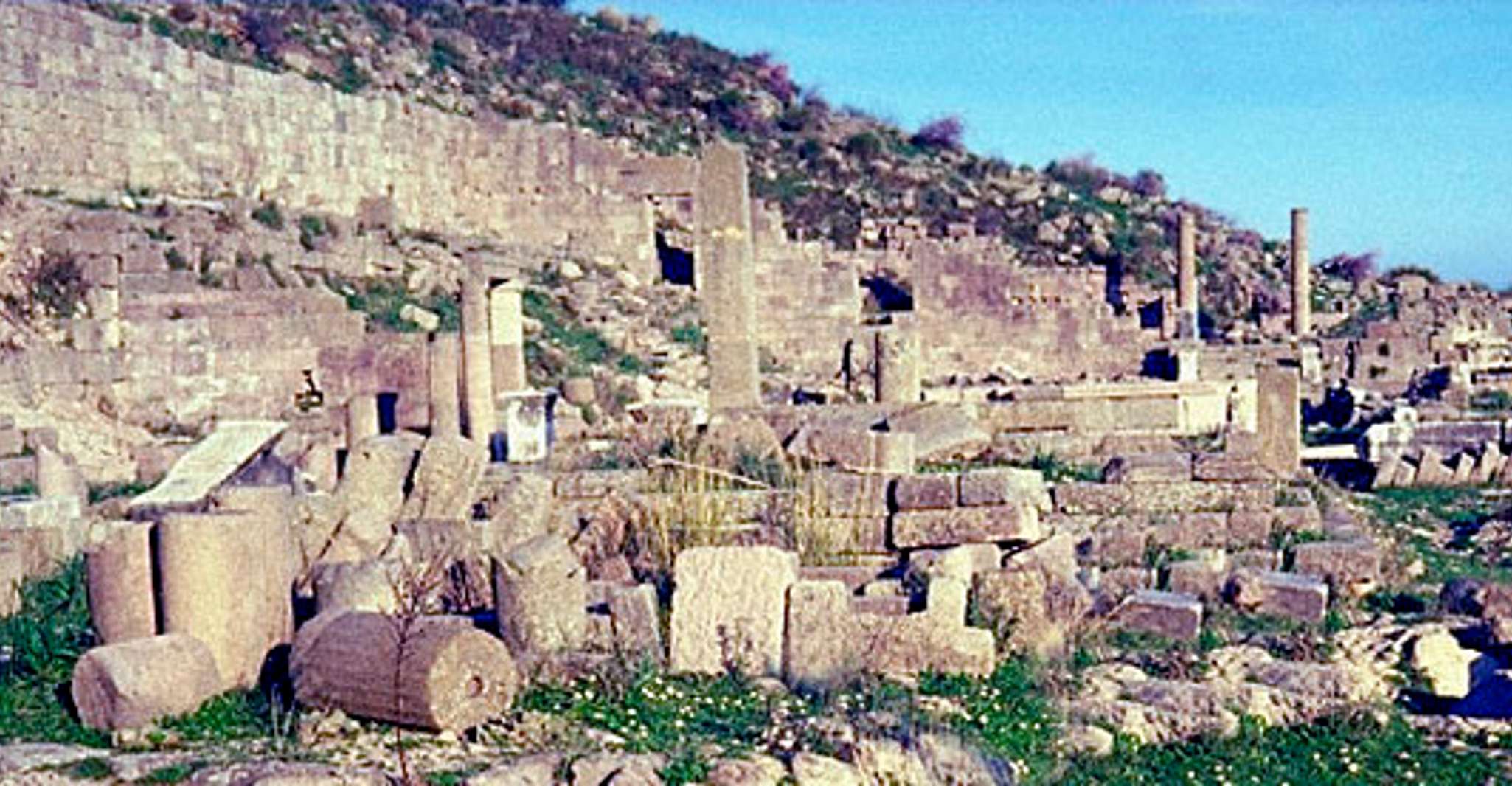 Full-Day Troy Tour From Istanbul - Housity