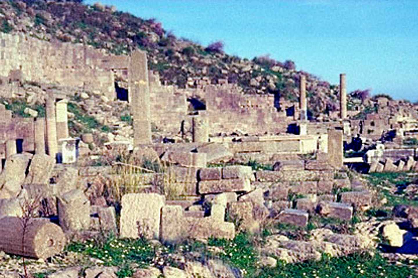 Tour de un día a Troya desde Estambul