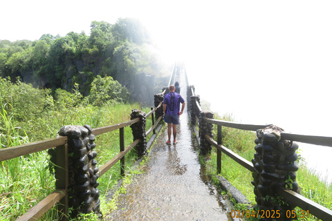 Livingstone: City Tour, Game Drive, and Victoria Falls Tour