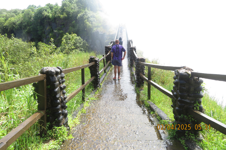 Livingstone: City Tour, Game Drive, and Victoria Falls Tour