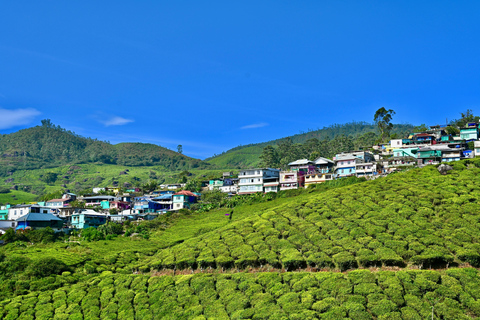 Kerala 3 N 4 D Tour – Munnar & Alleppey Houseboat Package