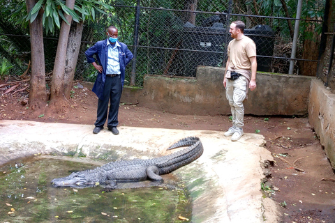 Nairobi guidad stadsvandring
