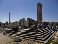 From Kusadası, Priene, Miletus, and Didyma Tour - Housity