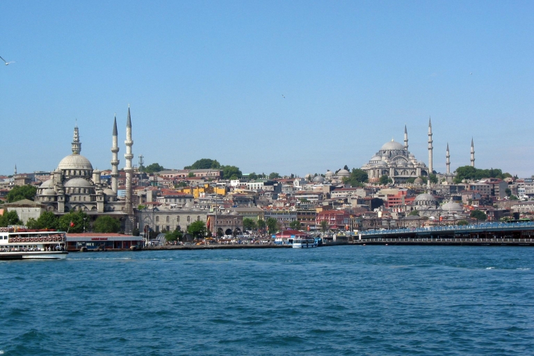 Estambul: tour de medio día y crucero por el Bósforo