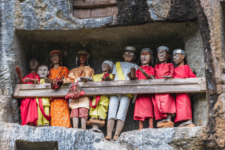 Tana Toraja: 3D2N privétour in Zuid-SulawesiTour zonder vluchten