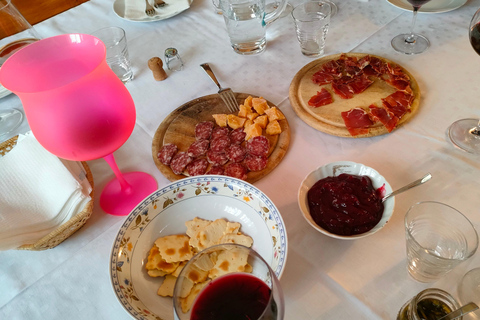 Mezzocorona: Teroldego Vineyard Tour and Wine Tasting Italian