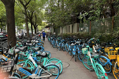 Shanghai: A Day of Immersive Suburban Life 8 Hours with Lunch