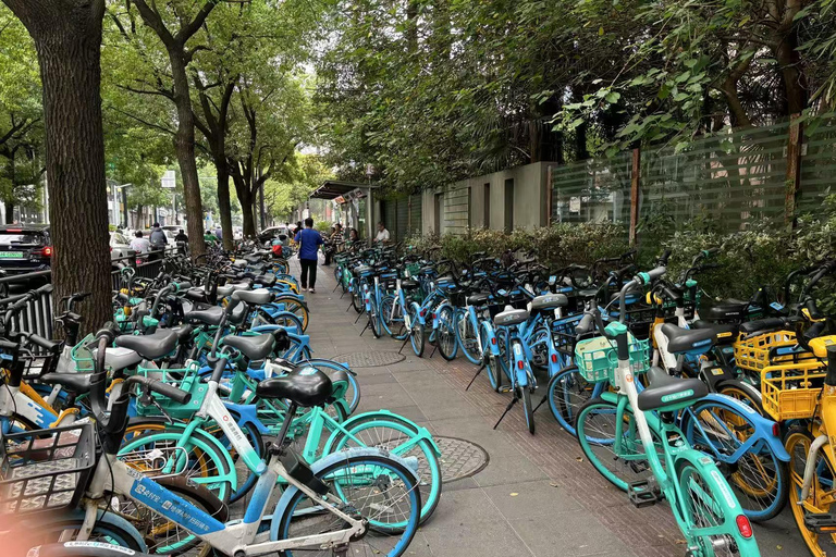 Shanghai: A Day of Immersive Suburban Life 8 Hours with Lunch