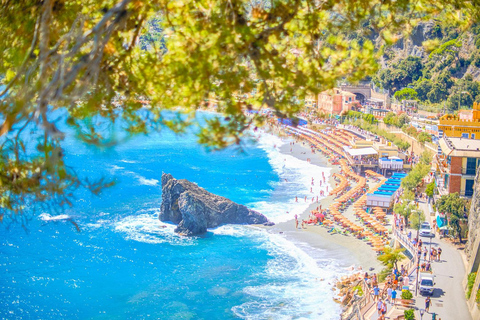 Florence : Excursion d&#039;une journée aux Cinque Terre et à Pise