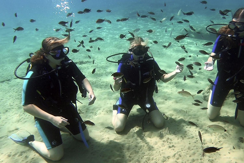 Heraklion: Lección de buceo para principiantes con instructor PADIInmersión para principiantes en la bahía de Agia pelagia - Sin traslado