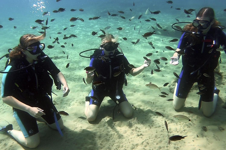 Heraklion: Lección de buceo para principiantes con instructor PADIInmersión para principiantes en la bahía de Agia pelagia - Sin traslado