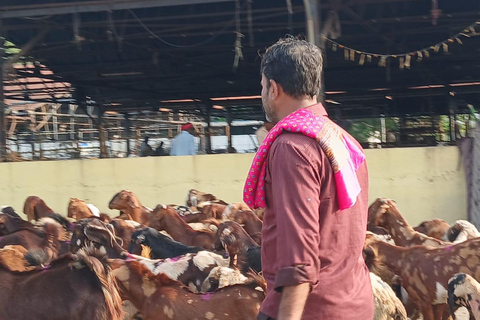 Bombay: Visita guiada al Matadero de Deonar