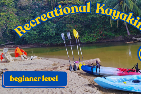 Aventura privada de caiaque: uma escapada de 2 horas para observar a vida selvagemAventura de caiaque autoguiada: uma fuga de 2 horas da vida selvagem