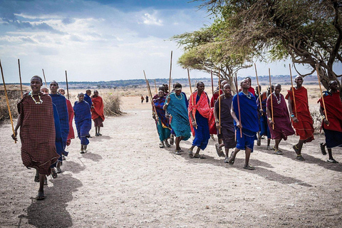Arusha |Moshi: tour del villaggio Maasai, cascate e caffèArusha: villaggio Masai, cascata Materuni e tour del caffè