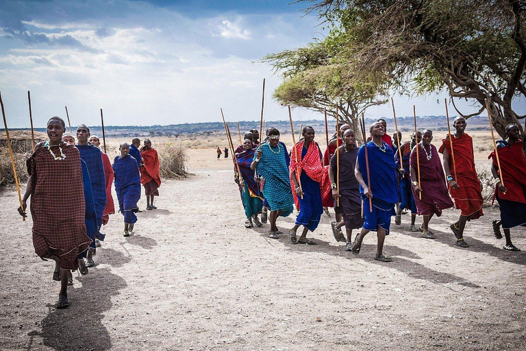 Arusha |Moshi: tour del villaggio Maasai, cascate e caffèArusha: villaggio Masai, cascata Materuni e tour del caffè