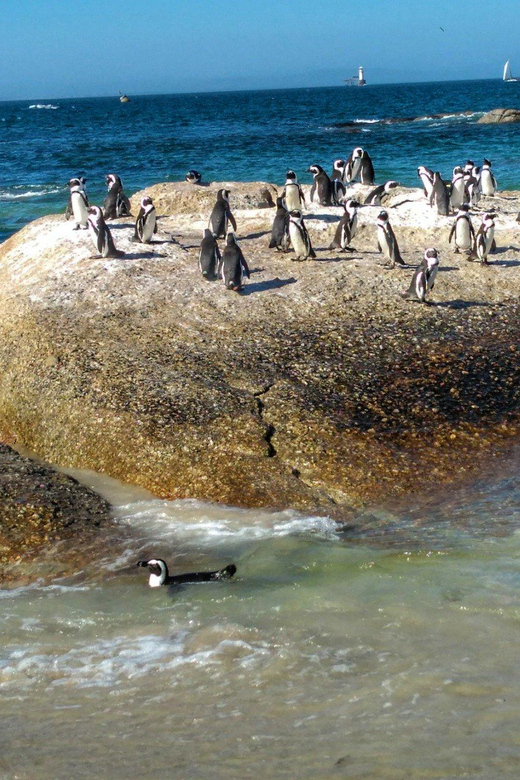 Cap De Bonne Esp Rance Route Du Pic Chapman Et Des Pingouins