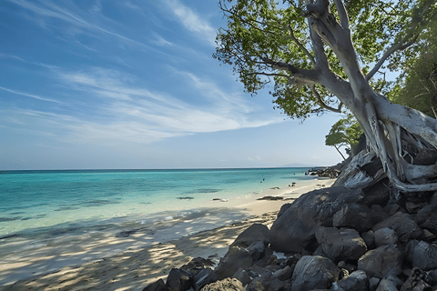 Phuket; Phi Phi, Maya Bay, Isla de Bambú y Rang en lancha rápida