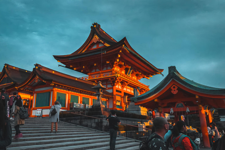 Kyoto & Nara: Custom Private Day Trip with Car & Guide Kyoto & Nara: Upto 12 Pax with Spacious Toyota HiAce