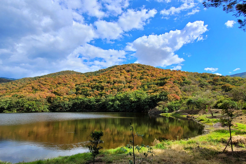 Oaxaca : Randonnée à vélo, arbre et lac Tule