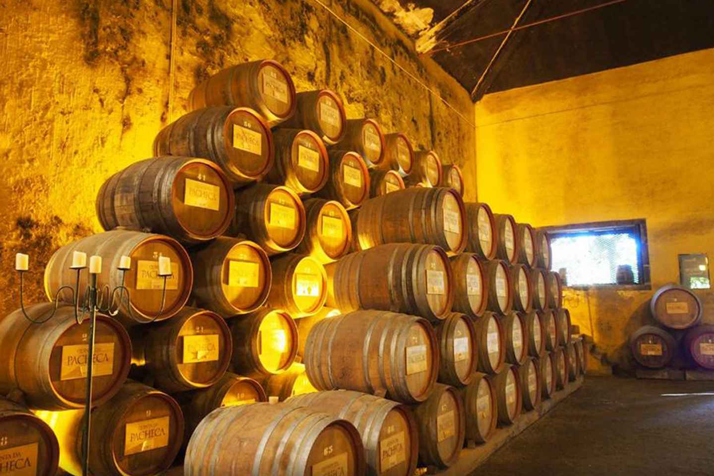 alto duoro wine region