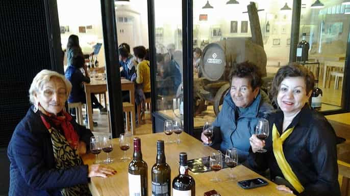 porto halfday sightseeing tour by luxury minivan