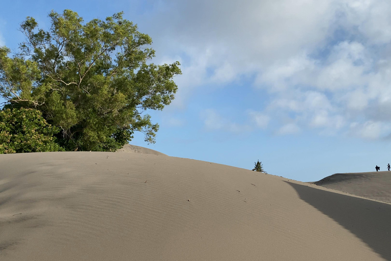 Yogyakarta: aventura de medio día en las dunas de arena y espectáculo en directo al atardecer.Aventura de medio día por las dunas de arena y espectáculo en directo al atardecer