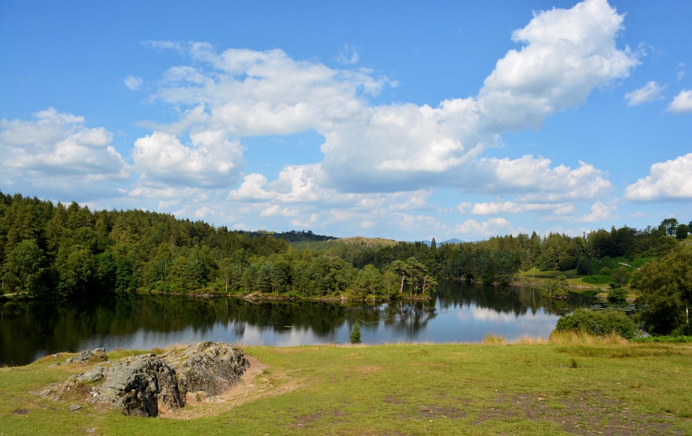 Lake District Halbt Gige Beatrix Potter Tour GetYourGuide   148 