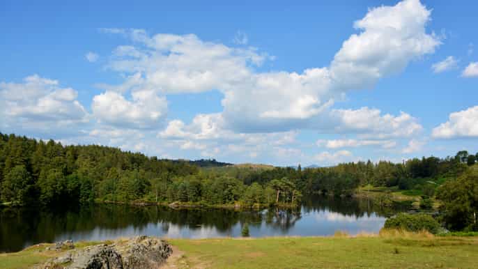 lake district beatrix potter halfday tour