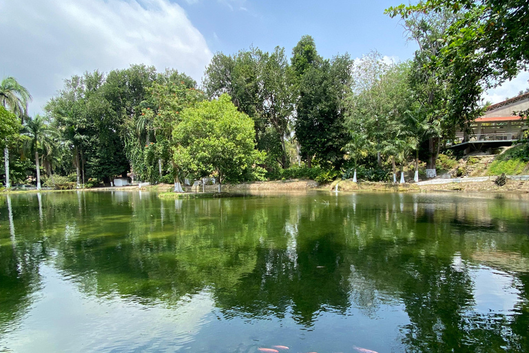 Cartagena: Guided Experience in the Botanical Garden