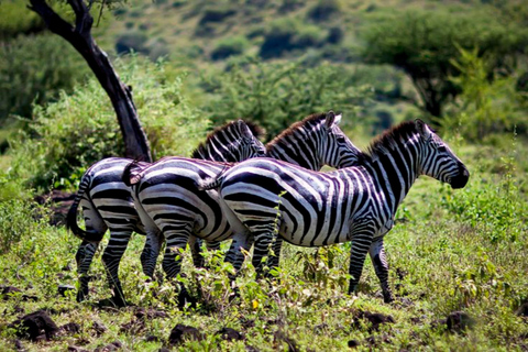 Chebera Churchura: 5-Day Wildlife & Nature Safari Experience