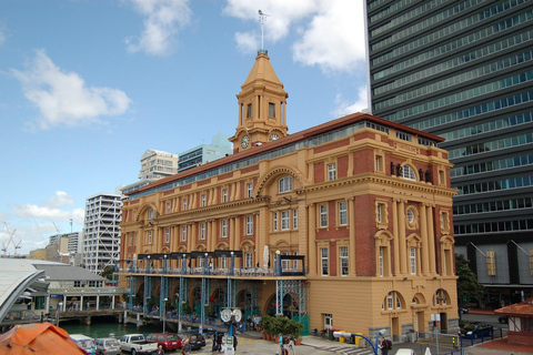 Auckland halvdagsutflykt genom urbana underverk