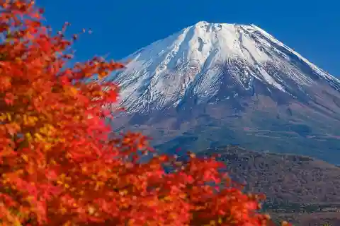 Mt. Fuji : Tailor-made day Trip with English Speaking Driver