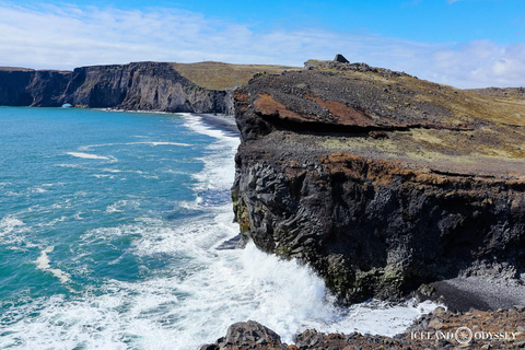 Från Reykjavik: Privat tur med vandring på sydkusten och glaciären